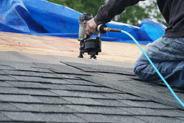 Best Roof Repair Services  in Preston Heights, IL